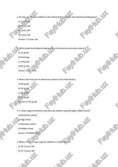 american education system — DOCX