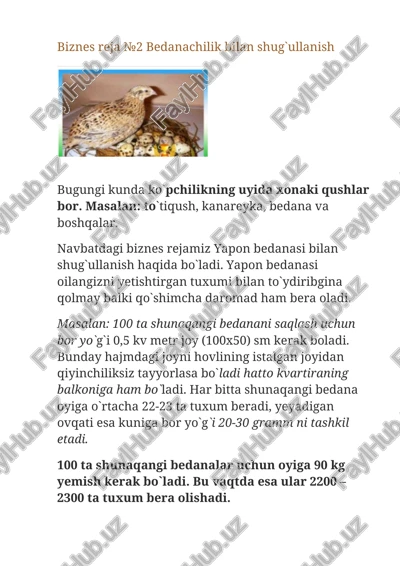 bedanachilik bilan shug`ullanish — DOCX