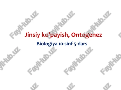 jinsiy ko’payish, ontogenez — PPTX