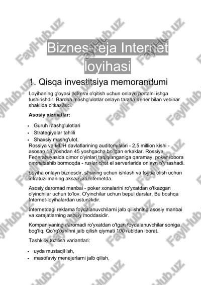 biznes-reja internet loyihasi — DOCX