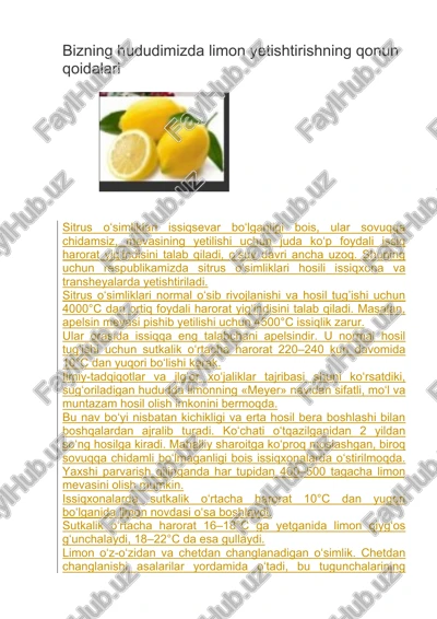 sitrus o‘simliklari — DOCX