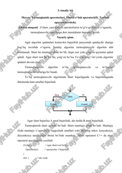 tarmoqlanish operatorlari — DOCX