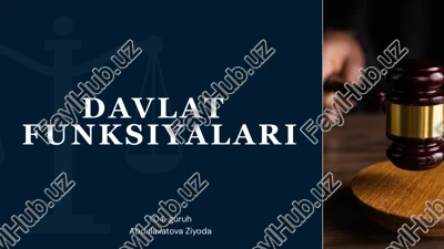 davlat funksiyalari — PPTX