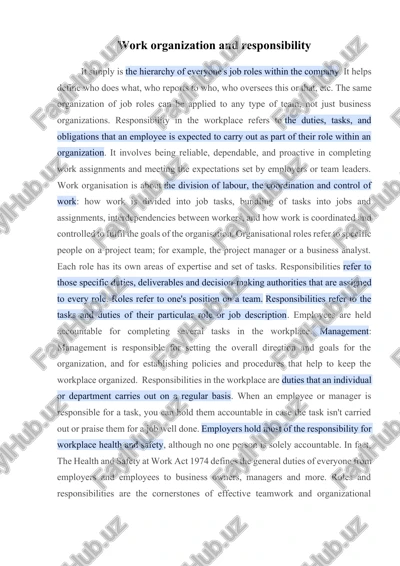 work organization and responsibility — DOCX