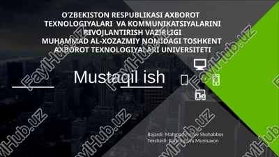 dasturiy taminot sohasining modellari — PPTX