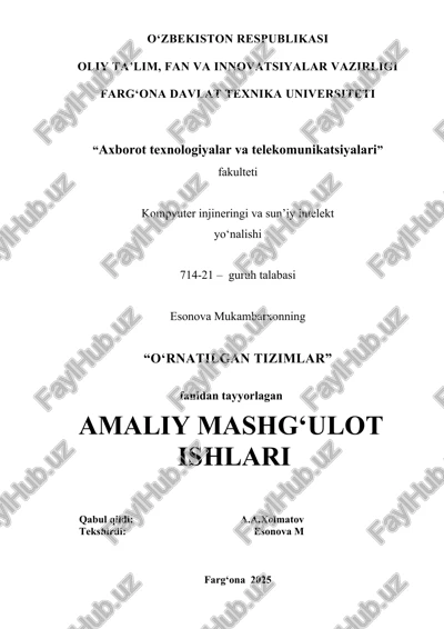 o‘rnatilgan tizimlar — DOCX