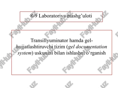 transillyuminator hamda gel-hujjatlashtiruvchi tizim (gel documentation system) — PPTX