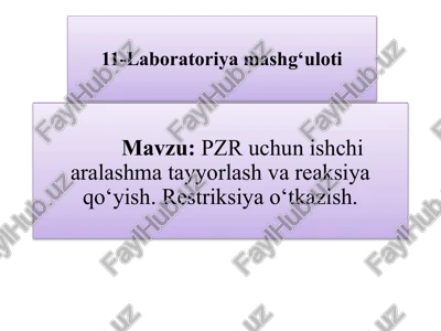 pzr uchun ishchi aralashma tayyorlash va reaksiya qo‘yish — PPTX