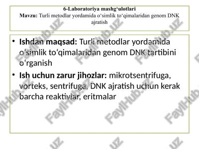 laboratoriya mashg‘ulotlari — PPTX