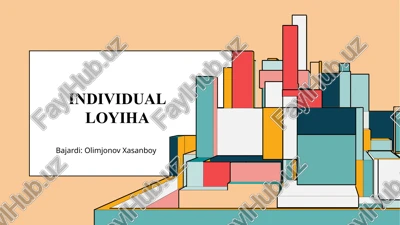 individual loyiha — PPTX