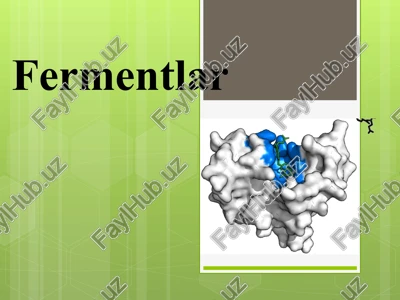 fermentlar — PPTX
