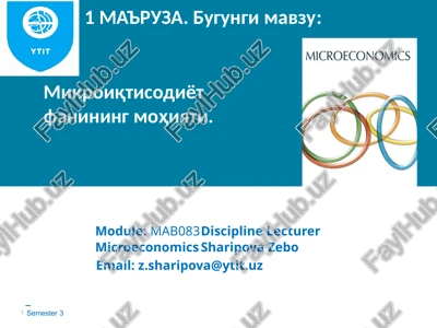 microeconomics — PPTX