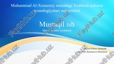 detalli loyihalash — PPTX