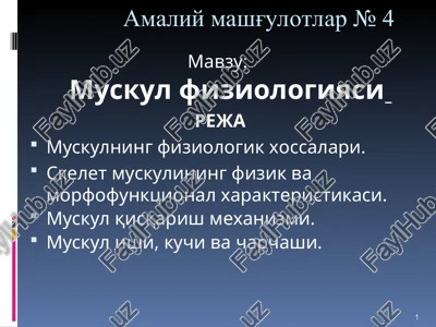 amaliy mashg'ulotlar № 4 — PPT