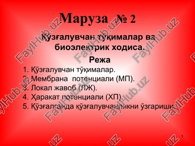 maruza№2 — PPT
