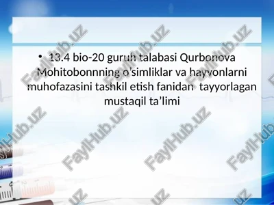 yalpiznamolar qabilasi - lamiales — PPTX