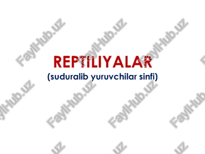 reptiliyalar — PPTX