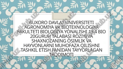chilonjiydadoshlar oilasi — PPTX