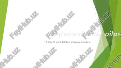 ayiqtovondoshlar oilasi — PPTX