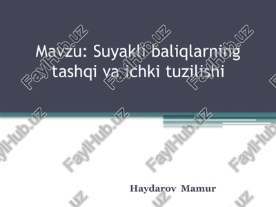 suyaklibaliqlarning tashqiva ichki tuzilishi — PPTX