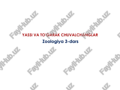 yassi va to’garak chuvalchanglar — PPTX