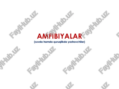 amfibiyalar — PPTX