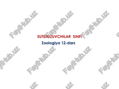sutemizuvchilar sinfi — PPTX