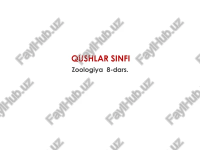 qushlar sinfi — PPTX