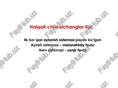 halgali chuvalchanglar tipi — PPTX