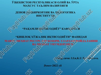 mehnat resurslar bozori, ulardan foydalanish va mehnat unumdorligi — PPT