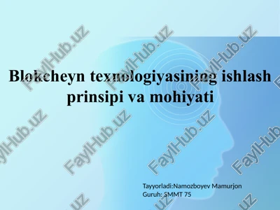 blokcheyn texnologiyasi — PPTX