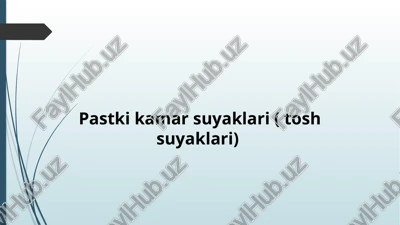 pastkikamarsuyaklari(toshsuyaklari) — PPTX