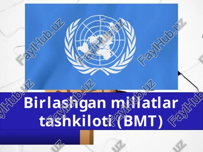 birlashgan millatlar tashkiloti (bmt) — PPTX