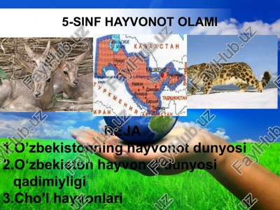 5-sinf hayvonot olami — PPTX