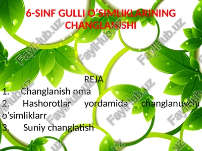6-sinf gulli o’simliklarining changlanishi — PPTX