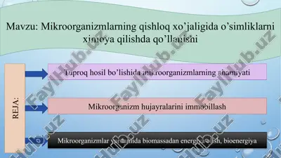 mikroorganizmlarning qishloq xo’jaligida o’simliklarni ximoya qilish daqo’llanishi — PPTX