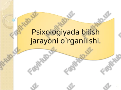 psixologiyada bilish jarayoni o`rganilishi. — PPT