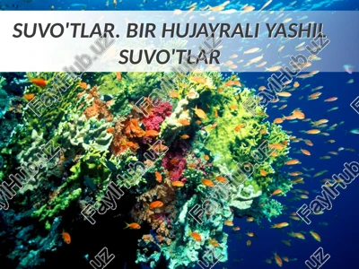 suvo'tlar. bir hujayrali yashil suvo'tlar — PPTX