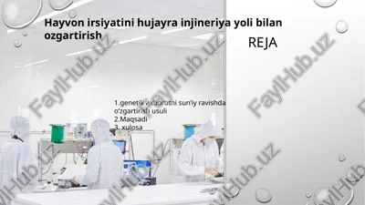 hayvon irsiyatini hujayra injineriya yoli bilan ozgartirish — PPTX