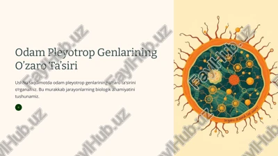 odam pleyotrop genlarining o’zaro ta’siri — PPTX