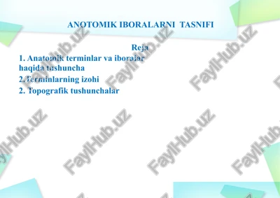 anotomik iboralarni tasnifi — PPTX