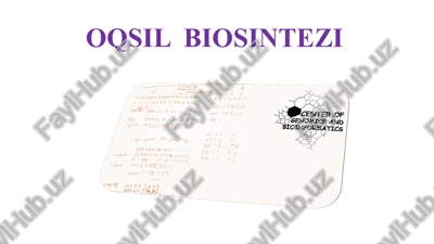 oqsil biosintezi — PPTX
