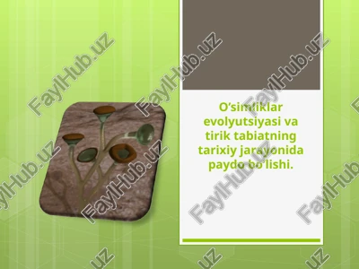 o’simliklar evolyutsiyasi — PPT