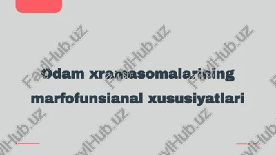 odamxramasomalarining marfofunsianal xususiyatlari — PPTX