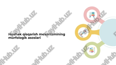 mushak qisqarish mexanizmining morfologik asoslari — PPTX