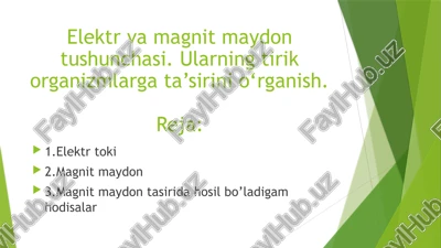 elektrvamagnitmaydontushunchasi — PPTX