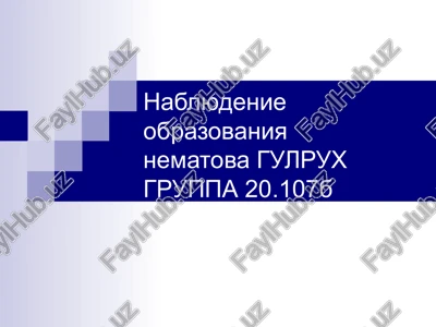 nablyudenie obrazovaniya nematova — PPT