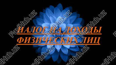 nalog na doxodi fizicheskix lits — PPTX