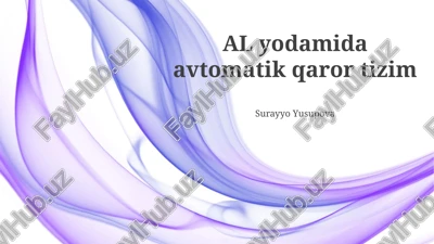 avtomatik qaror qabul qilish tizimlari — PPTX
