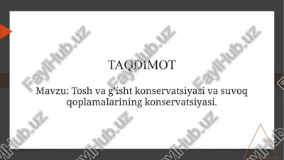 toshvag’isht konservatsiyasi va suvoq qoplamalarining konservatsiyasi — PPTX